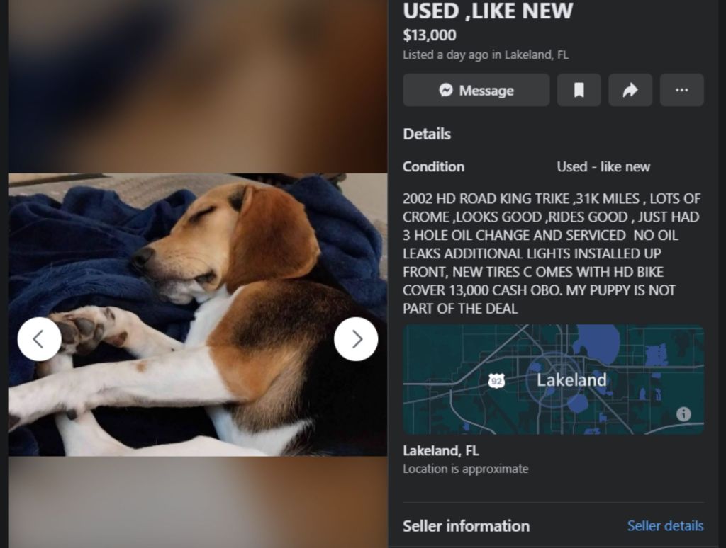 Used, like new. Picture of a dog sleeping